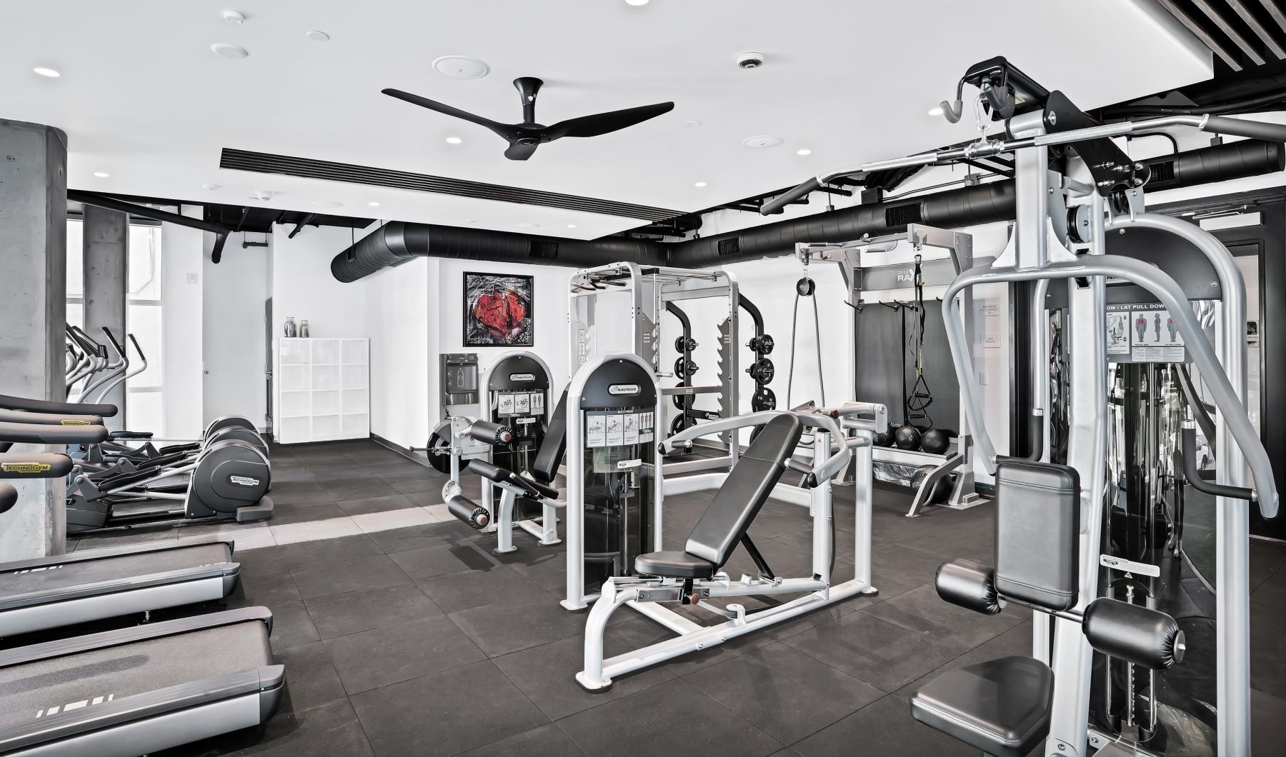 Cutting-edge amenities at your fingertips a gym with weights